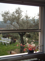 Moustiquaire enroulable verticale sur mesure